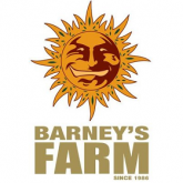 Barney’s Farm Auto
