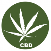 Graines de Cannabis à haute teneur en CBD