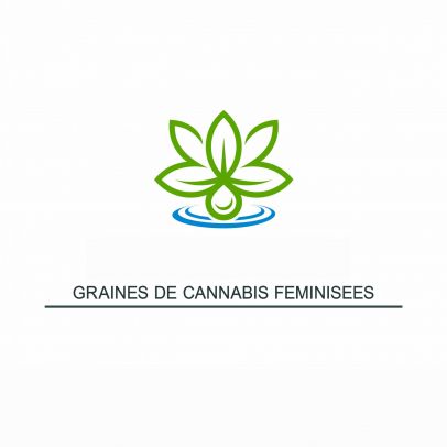 Graines de Cannabis Feminisees