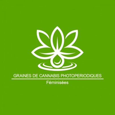 Graines de Cannabis Photoperiodiques - Feminisees