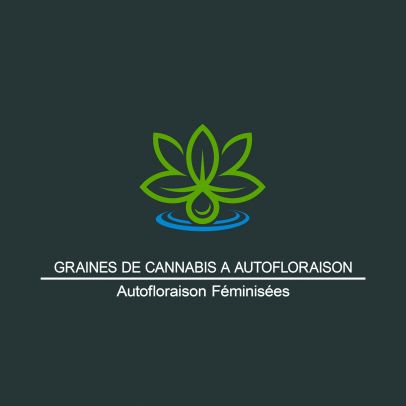 Graines de Cannabis a Autofloraison - Autofloraison Féminisées